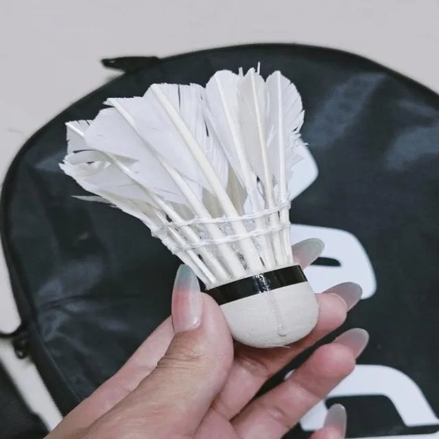 最新体育赛事资讯解析：洞悉全球竞技动态